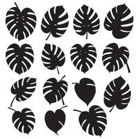 Monstera leaf silhouette bundle with botanical decorative elements, tropical jungle graphics, and green design icons vector