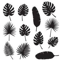 Monstera leaf silhouette bundle with tropical plant elements, botanical nature design, and jungle foliage set vector