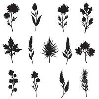 Hand-sketched flora icon collection in silhouette style with variation design for minimalist botanical projects vector
