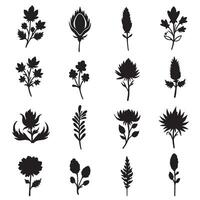 Elegant freehand flora silhouette drawing icons with varied shapes ideal for branding and decorative layouts vector