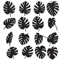 Monstera leaf silhouette bundle including exotic plant graphics, decorative foliage outlines, and greenery design set vector