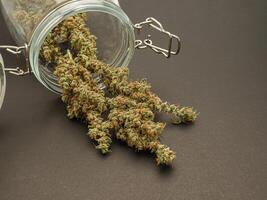 Dry and trimmed cannabis buds out of a glass jar on a gray background. photo