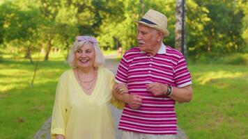 Senior old stylish tourists couple grandmother, grandfather having a walk and talking in summer park video