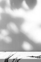 Empty Marble with Leaves Shadow on Wall in Vertical Background photo