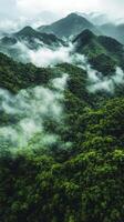 Aerial view of green forest and mountains in the mountains photo