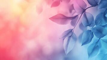 A blue and pink background with leaves photo