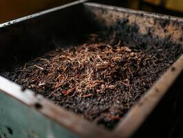 A dark, textured surface filled with organic matter, possibly compost or soil, showcasing the earth's natural elements. photo