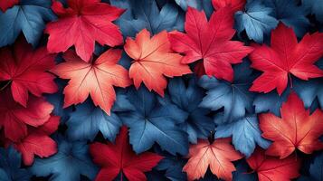 Autumn leaves, red and blue, fall foliage background, seasonal design photo