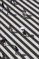 Top View of Zebra Crossing With People Flat vector