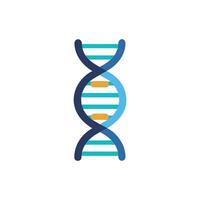 Flat design of DNA molecule on White Background vector