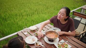 Countryside meal scene with mother enjoying hot pot with child video