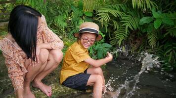Joyful moment with mother and child playing in stream video