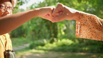 Close up of fist bump between parent and child in bright forest video