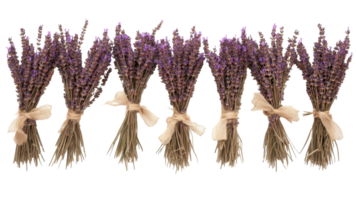 Dried lavender bunches in rustic containers, displayed in a row. png