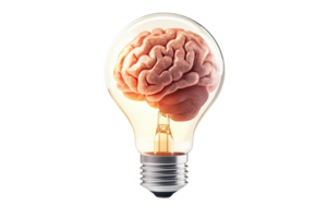 Illuminated brain inside a lightbulb, a symbol of knowledge. png