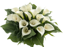 Elegant bouquet of white calla lilies with lush foliage. png