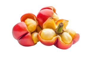 Close-up view of tropical fruit cluster with vibrant hues. png