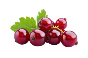 Close-up view of a cluster of red currants with leaves. png