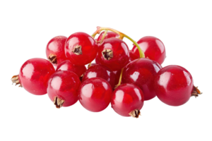 Close up view of a cluster of ripe red currants. png