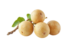 Close-up view of several tropical fruit clustered on a stem. png
