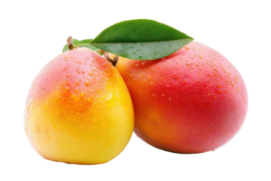 Two vibrant mangoes with dew drops close-up. png