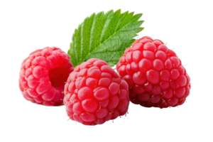 Close up of three fresh raspberries with vibrant color. png