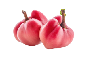 fechar-se Visão do dois vibrante Rosa pimentas. png
