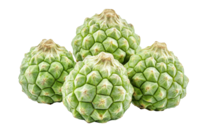 Close-up view of a cluster of bumpy, green fruits. png