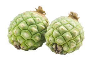 Close-up view of two unusual, light-green, textured fruits. png