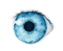 Close-up of a blue eye with detailed iris and reflection png