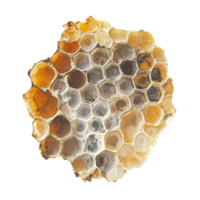 Natural honeycomb structure with hexagonal pattern and variations png