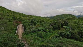 Aerial view lush jungle Camiguin Island Philippine video