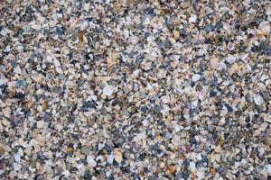 Top view of beach covered in broken seashell fragments and shell crumbs. Natural texture with scattered shell pieces in various shapes and colors. For backgrounds, nature themes and coastal designs photo