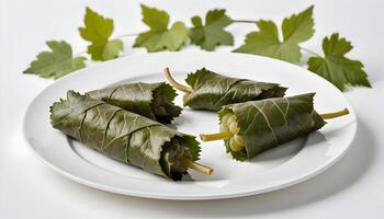 Stuffed Grape Leaves Appetizer on Plate with Vine Accents photo