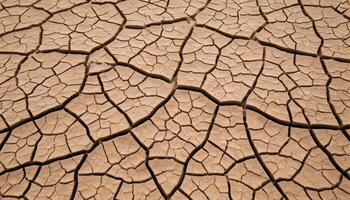 Dry Cracked Earth Texture Close Up in Desert Landscape Pattern photo
