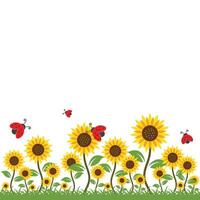 sunflowers background illustration element vector