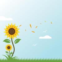 sunflowers background illustration element template vector