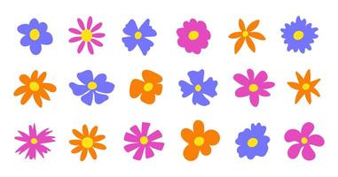 Floral set cute botanical elements on a white background. Spring and summer groovy flowers vector