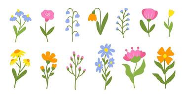 Floral set cute botanical elements on a white background. Spring and summer groovy flowers, leaves, branches. vector