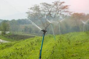 The sprinkler is working to water the plants in the garden. Soft and selective focus. photo