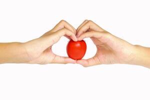 Focus on ripe tomato in hands clasped in heart shape on white background, conveying the message of love for eating vegetables and tomatoes. photo