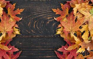 orange autumn fallen leaves on a dark, textured vintage rustic wooden background. View from above. Frame for text photo