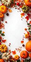 Thanksgiving background with pumpkins, leaves and berries photo