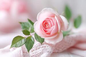 Pink rose with delicate petals resting on soft fabric, showcasing natural beauty and elegance, perfect for floral arrangements and romantic themes, floral design concept photo