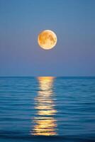 Full moon illuminating calm ocean waters at twilight, casting a shimmering reflection on the surface, creating a serene and tranquil atmosphere for nighttime contemplation photo