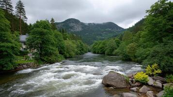 Serene River Rapids Flowing Through Lush Green Mountainscape A picturesque summer landscape with a tranquil river photo