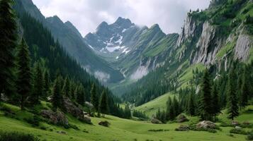 Majestic Mountain Valley Landscape Featuring Lush Green Meadows and Towering Pine Trees photo