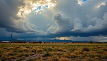 Dramatic Cumulus Clouds Over a Vast Dry Grassland Landscape Golden Hour Light Illuminates the Scene photo