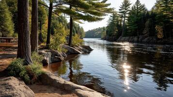 Peaceful River Scene Tranquil Water Reflecting Sunlight Through Majestic Pine Trees photo
