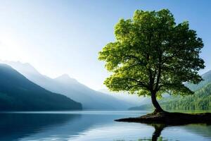 Lonely tree growing on small island in a lake with mountains in background photo